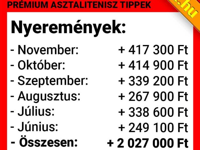 Pénzmágnes: Így kerestünk fél év alatt 2 MILLIÓT tisztán!