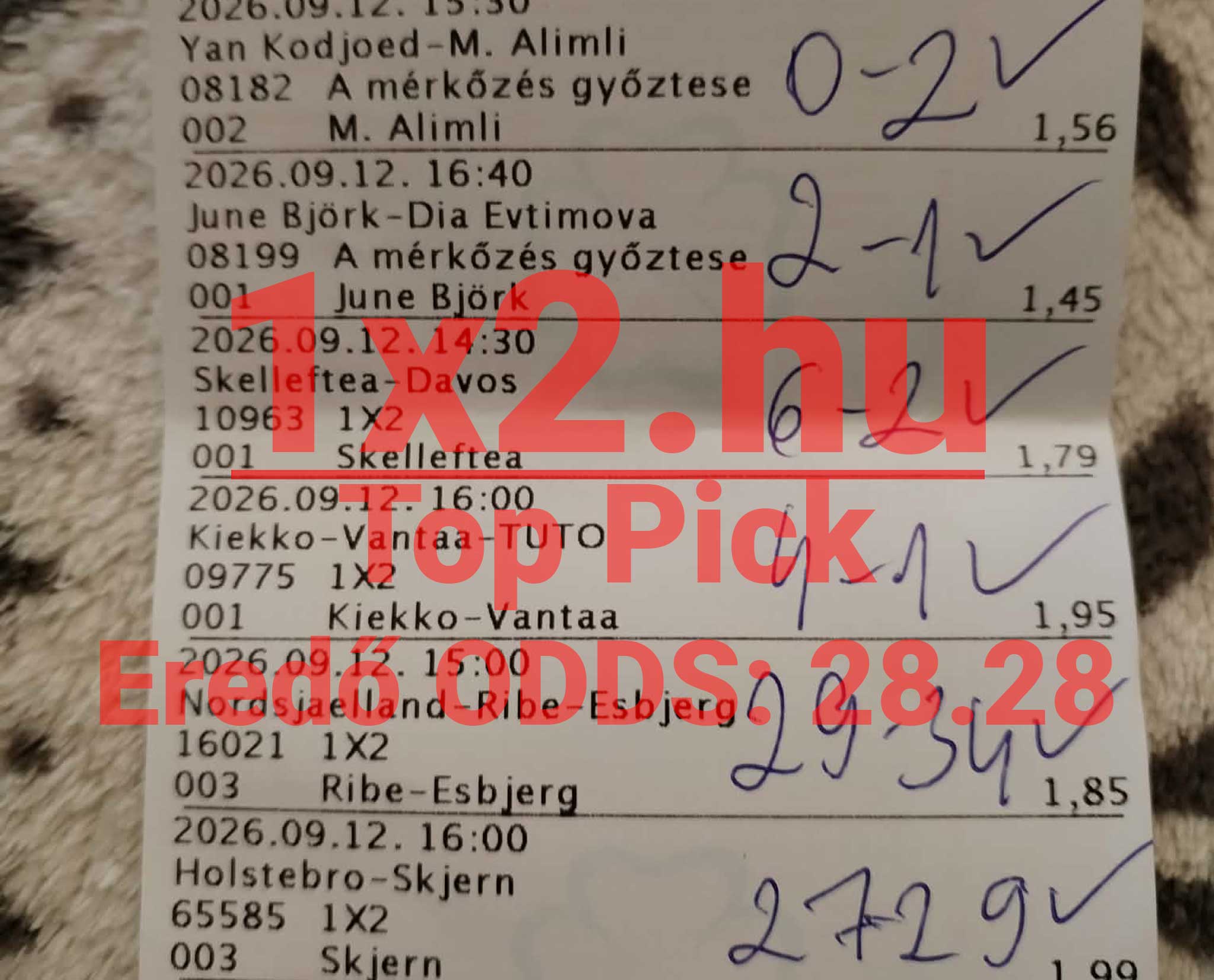 Nyertes sportfogadási szelvény kézzel beírt eredményekkel és pipákkal, 28,28-as eredő oddsszal.